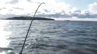 Троллинг лосося на Онежском озере и сход рыбы у дальней снасти