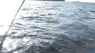 Троллинг лосося на Онежском озере и сход рыбы у дальней снасти
