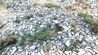Дагомыс: озерный отдых в жару и морской вариант на другой день