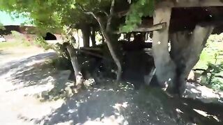 Дагомыс: озерный отдых в жару и морской вариант на другой день