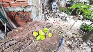 Ловля без насадки на 16 крючков в солоноватой воде Лангко