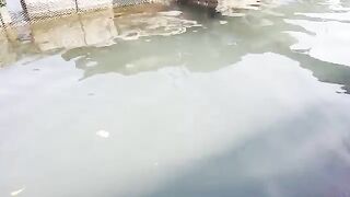 Ловля сиганов у садков в бухте Ланха на Катбе