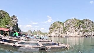 Ловля сиганов у садков в бухте Ланха на Катбе