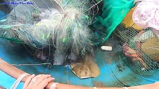 Хочам: рыбацкая деревня у пляжа и выезд к устричным фермам