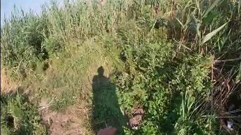 Вечерняя поплавочная ловля в камышовом канале у Пересыпи: от мелочи к сазанчикам