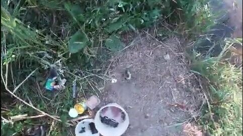 Вечерняя поплавочная ловля в камышовом канале у Пересыпи: от мелочи к сазанчикам