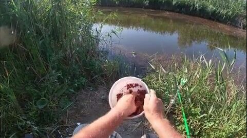 Вечерняя поплавочная ловля в камышовом канале у Пересыпи: от мелочи к сазанчикам