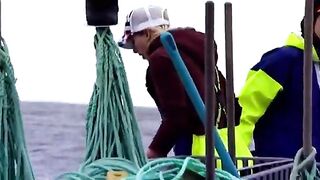 Траулер Explorer S у Порт-Линкольна и ночная выборка почти в тонну