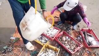 Лонгхай, Вьетнам: сезон рыбы и отдельная поездка с удочками