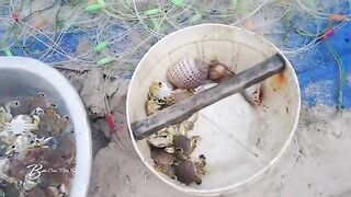 Лонгхай, Вьетнам: сезон рыбы и отдельная поездка с удочками