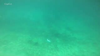 Подводная охота на свалах моря Саву в Индонезии