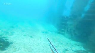 Подводная охота на свалах моря Саву в Индонезии