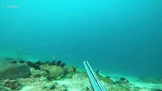 Подводная охота на свалах моря Саву в Индонезии