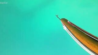 Подводная охота на свалах моря Саву в Индонезии