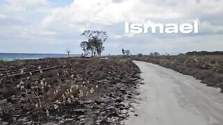 Подводная охота на свалах моря Саву в Индонезии