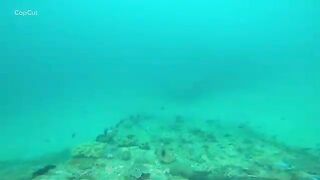 Подводная охота на свалах моря Саву в Индонезии