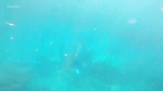 Подводная охота на свалах моря Саву в Индонезии