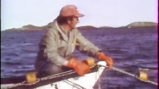 Лабрадор: на Omega II боремся со слизью на сетях и ищем чистую воду