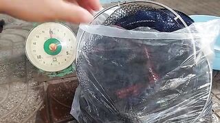 Возвращение с прудовой рыбалки в Хо-Трам и взвешивание улова