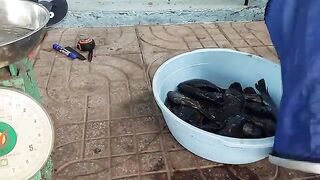 Возвращение с прудовой рыбалки в Хо-Трам и взвешивание улова