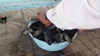 Возвращение с прудовой рыбалки в Хо-Трам и взвешивание улова
