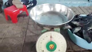 Возвращение с прудовой рыбалки в Хо-Трам и взвешивание улова