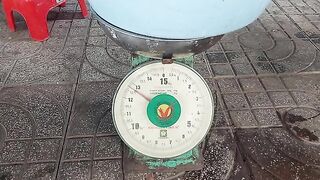 Возвращение с прудовой рыбалки в Хо-Трам и взвешивание улова