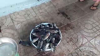 Возвращение с прудовой рыбалки в Хо-Трам и взвешивание улова