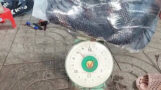Возвращение с прудовой рыбалки в Хо-Трам и взвешивание улова