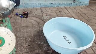 Возвращение с прудовой рыбалки в Хо-Трам и взвешивание улова