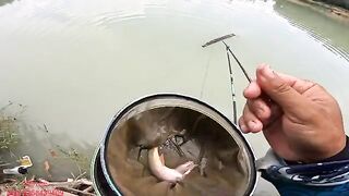 Карповая рыбалка на озере Хочам во Вьетнаме с тонким поводком