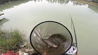 Карповая рыбалка на озере Хочам во Вьетнаме с тонким поводком