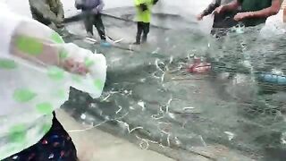 Микхе, Дананг: прибрежная рыба и выбор долгого морского дня