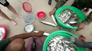 Микхе, Дананг: прибрежная рыба и выбор долгого морского дня