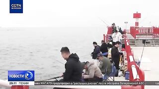 Циньхуандао: рыболовная «Золотая неделя» и маршрут по Шаньдуну