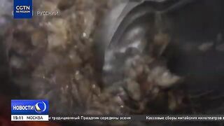 Циньхуандао: рыболовная «Золотая неделя» и маршрут по Шаньдуну