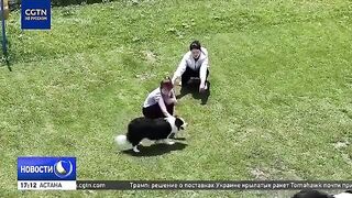 Циньхуандао: рыболовная «Золотая неделя» и маршрут по Шаньдуну