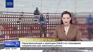 Циньхуандао: рыболовная «Золотая неделя» и маршрут по Шаньдуну