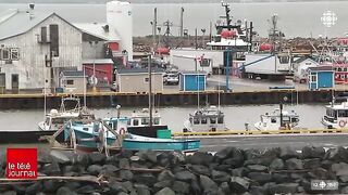 Залив Святого Лаврентия: снежный краб и туристическое знакомство с морем