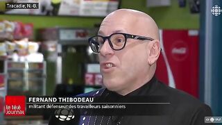 Залив Святого Лаврентия: снежный краб и туристическое знакомство с морем