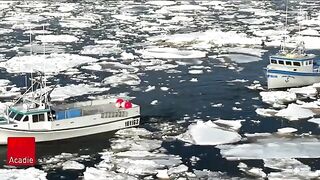 Залив Святого Лаврентия: снежный краб и туристическое знакомство с морем