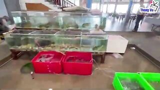Хамнинь, Фукуок: рыбацкая деревня и утренний выход в море