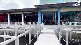 Хамнинь, Фукуок: рыбацкая деревня и утренний выход в море