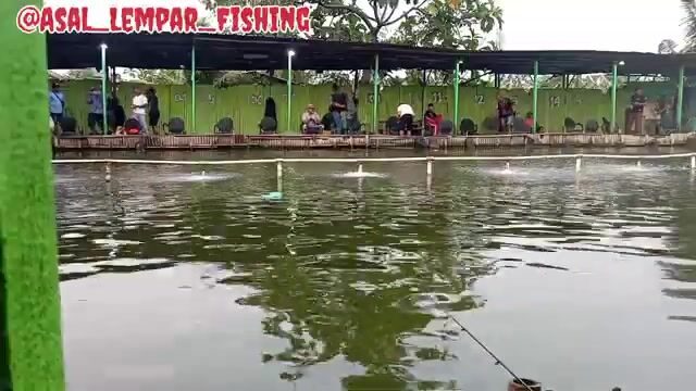 Рисовая наживка и крупная рыба: разбираем пресноводный выезд