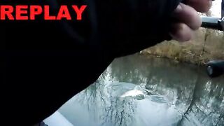 Щука в австрийской старице 31 декабря 2020 года