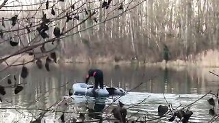 Щука в австрийской старице 31 декабря 2020 года