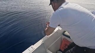Выход из Кемера к Олимпосу: джиг, обед и морские караси