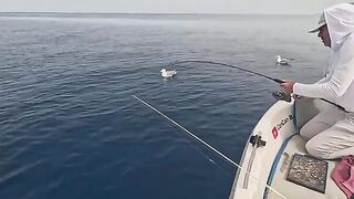 Выход из Кемера к Олимпосу: джиг, обед и морские караси