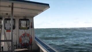 Семейный чартер Misty Blue Waters у Ковхеда на острове Принца Эдуарда