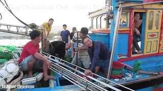Ниньчу: рыбацкий берег в сезон сардины и день на воде
